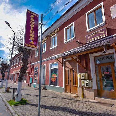 Pensiunea Vanessa Făgăraş Exterior foto