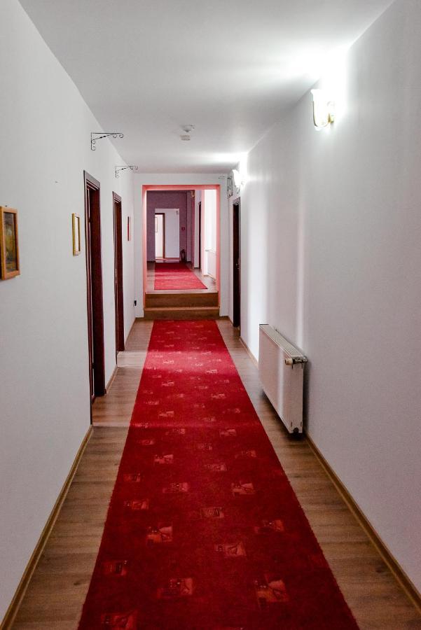 Pensiunea Vanessa Făgăraş Exterior foto